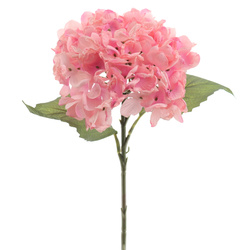 VARA DE HORTENVIA DRY 50 CM ROSA