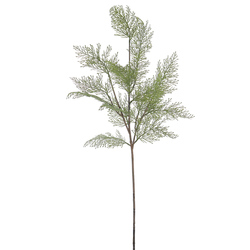 VARA DE CIPRES 82 CM