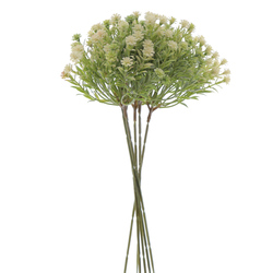 ATADO DE PANICULATA SILVESTRE CREMA