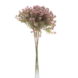 ATADO DE PANICULATA SILVESTRE MALVA