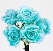 RAMO ROSAS X5