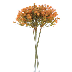 ATADO DE PANICULATA SILVESTRE SALM?N