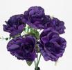 RAMO ROSAS X5 P?RPURA