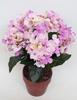 MATA HORTENSIAS X6 LILA