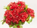 BOUQUET AZALEAS ROJO