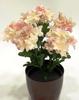 RAMO HORTENSIAS X6 CHAMP?N