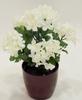 RAMO HORTENSIAS X6 CREMA