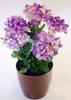 RAMO HORTENSIAS X6 LILA