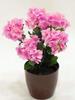 RAMO HORTENSIAS X6 MALVA