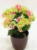RAMO HORTENSIAS X6 VERDE