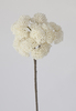 VARA ACHILEA 48 CM CREMA