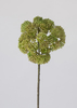 VARA ACHILEA 48 CM VERDE