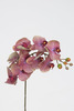 VARA PHALENOPSIS 70 CM BURDEOS