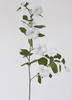 VARA PETUNIAS 102 CM BLANCO