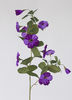 VARA PETUNIAS 102 CM P?RPURA