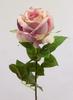 ROSA AMBER FUXIA